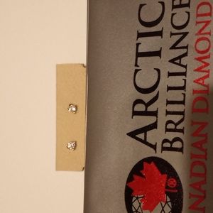 14k white gold 0.20ct t.w certified Canadian diamond earrings